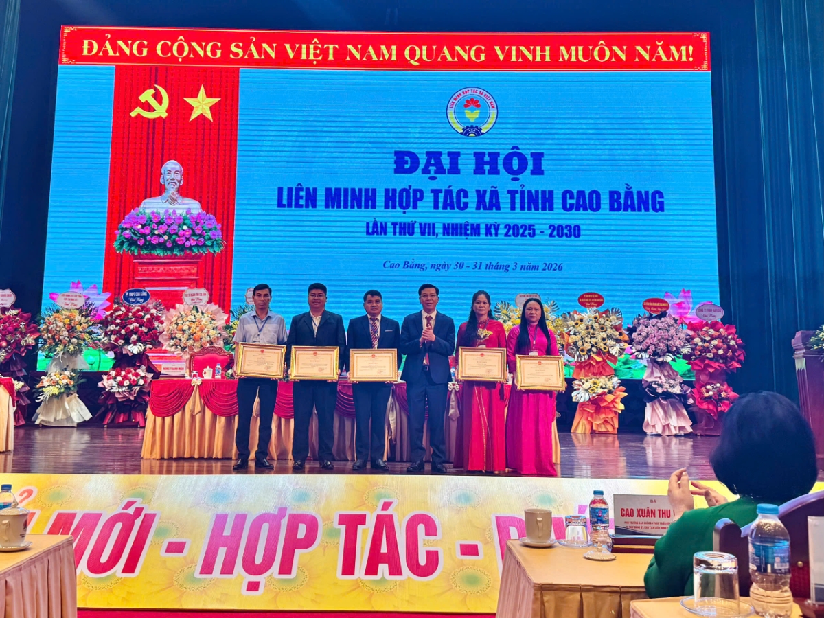 Các tập thể, cá nhân được tặng bằng khen.