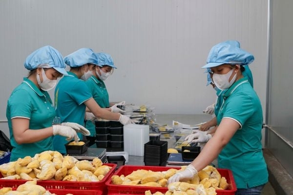 Các đơn vị chế biến nông sản, thực phẩm là đối tượng chính của Lệnh 280.