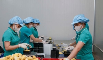 Cú hích để sản xuất chuyên nghiệp thông qua mô hình HTX