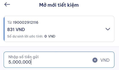 VnBusiness