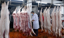 Thủ tướng Phạm Minh Chính yêu cầu tăng cường kiểm tra, kiểm soát cơ sở giết mổ nhằm ngăn chặn, phát hiện, xử lý nghiêm trường hợp thu gom, đưa sản phẩm động vật không đủ điều kiện ra thị trường, bếp ăn.