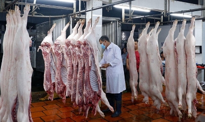 Thủ tướng Phạm Minh Chính yêu cầu tăng cường kiểm tra, kiểm soát cơ sở giết mổ nhằm ngăn chặn, phát hiện, xử lý nghiêm trường hợp thu gom, đưa sản phẩm động vật không đủ điều kiện ra thị trường, bếp ăn.