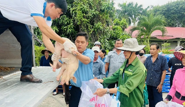 Khi trợ lực trở thành động lực phát triển HTX