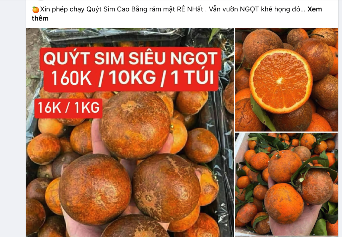 "Quýt Sim" không rõ nguồn gốc tràn lan chợ mạng. Ảnh chụp màn hình.