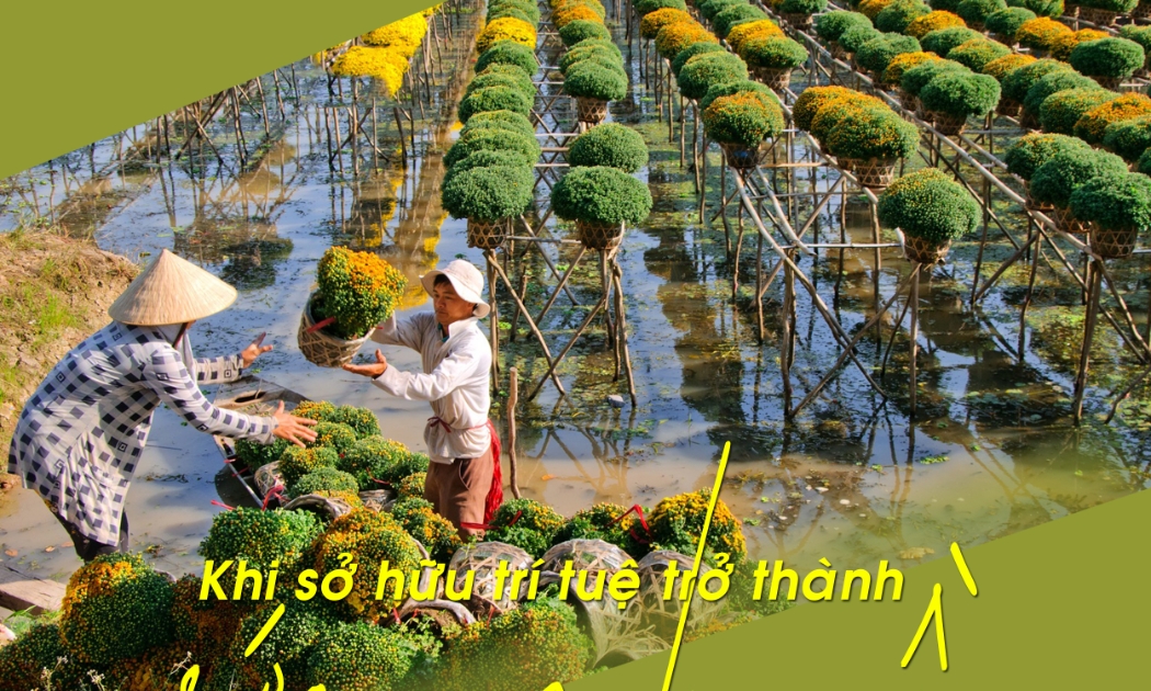 Khi sở hữu trí tuệ trở thành ‘sức mạnh mềm’ cho HTX