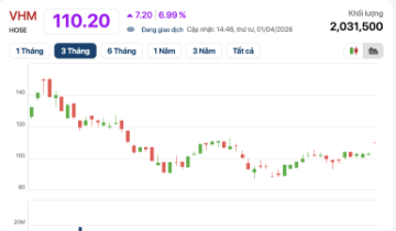 Cổ phiếu VHM “cháy hàng”, vốn hóa Vinhomes bật tăng 1,1 tỷ USD