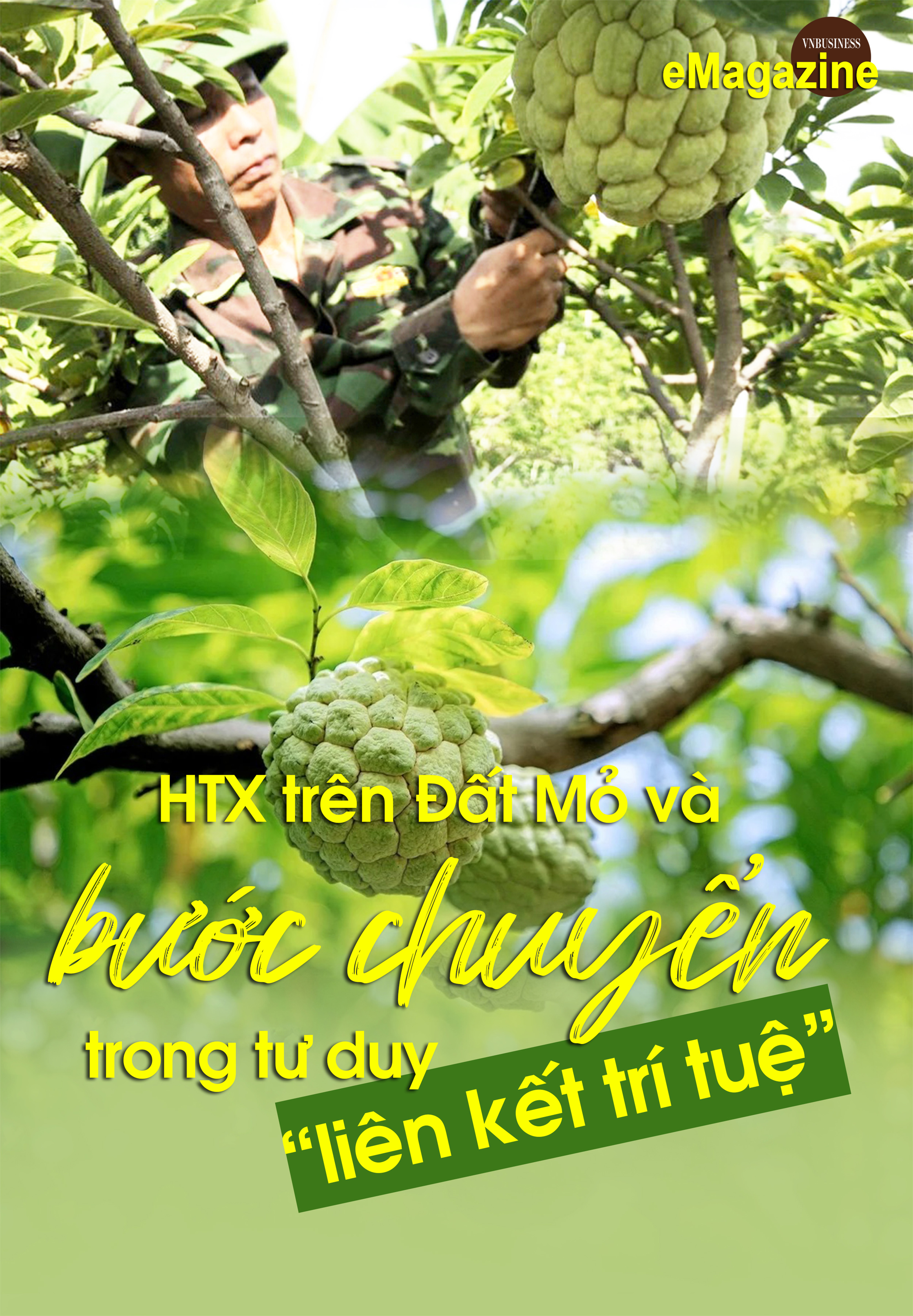 HTX trên Đất Mỏ và bước chuyển trong tư duy 'liên kết trí tuệ'