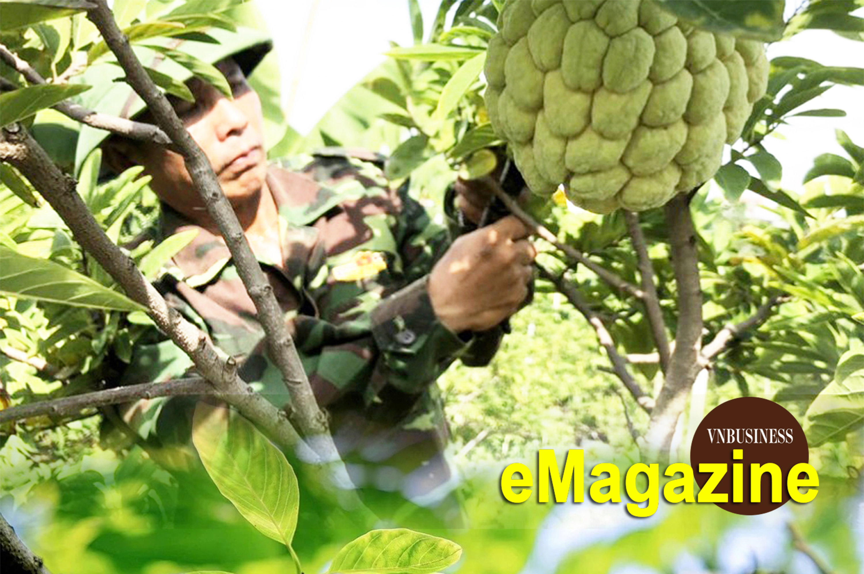 HTX trên Đất Mỏ và bước chuyển trong tư duy liên kết trí tuệ