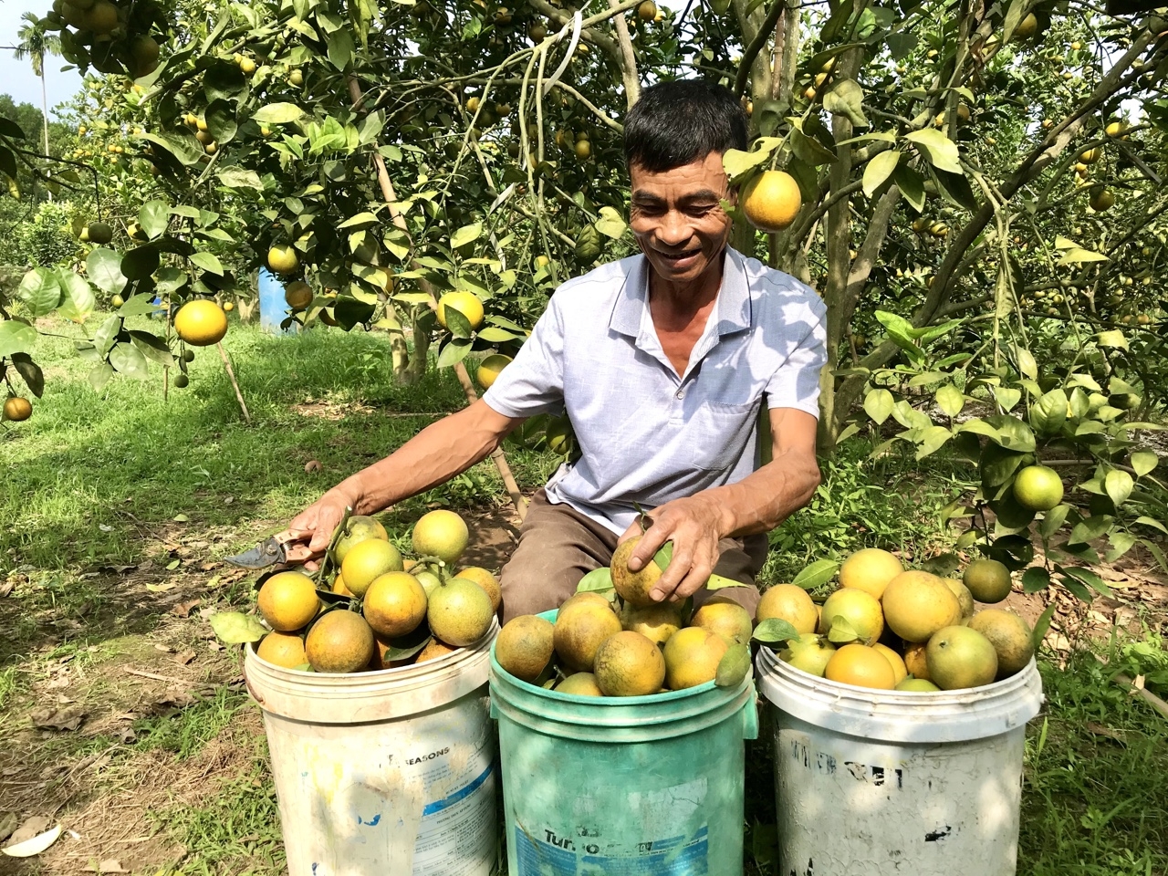 Khi mỗi HTX hiểu rằng thương hiệu, quy trình, sản phẩm của mình đều là tài sản cần được bảo hộ, thì đó cũng là lúc nền tảng cho phát triển bền vững được củng cố.