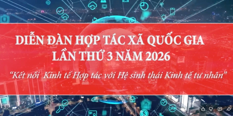 Diễn đàn HTX Quốc gia lần thứ III năm 2026: Kết nối Kinh tế Hợp tác với Hệ sinh thái Kinh tế tư nhân