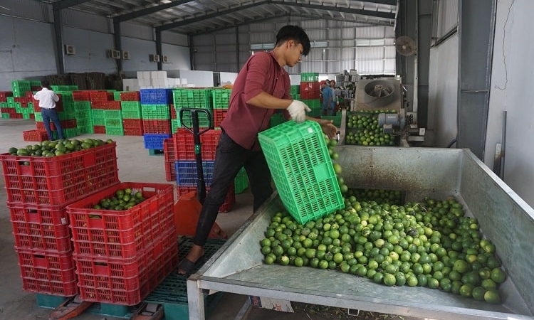 Xuất khẩu quý I/2026 tăng 17% nhưng doanh nghiệp vẫn chưa thể “thở phào”