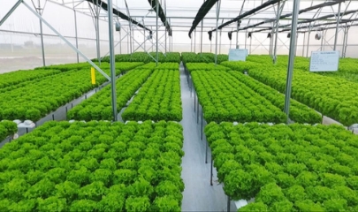 Doanh nghiệp có thể chủ động tự đánh giá mức độ đáp ứng tiêu chuẩn ESG của đơn vị mình để vay vốn xanh.