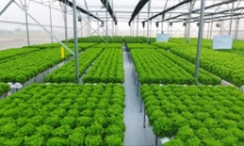 Doanh nghiệp có thể chủ động tự đánh giá mức độ đáp ứng tiêu chuẩn ESG của đơn vị mình để vay vốn xanh.