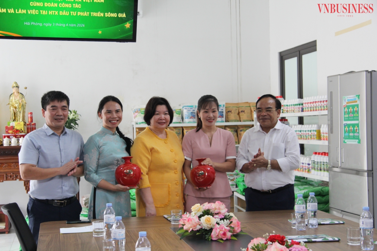 Các HTX nhận quà lưu niệm từ Chủ tịch Liên minh HTX Việt Nam.