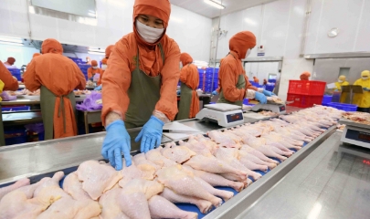 Hiện chỉ khoảng 0,2% doanh nghiệp Việt Nam có sản phẩm đạt chứng nhận Halal.