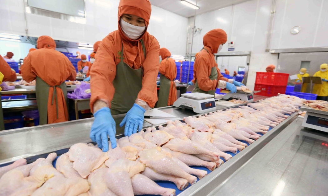 Hiện chỉ khoảng 0,2% doanh nghiệp Việt Nam có sản phẩm đạt chứng nhận Halal.