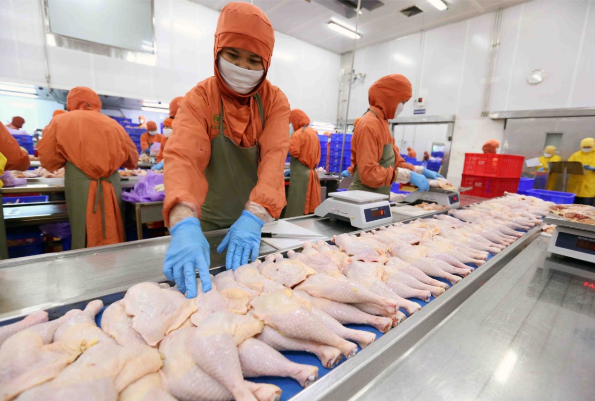 Hiện chỉ khoảng 0,2% doanh nghiệp Việt Nam có sản phẩm đạt chứng nhận Halal.