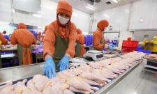 Hiện chỉ khoảng 0,2% doanh nghiệp Việt Nam có sản phẩm đạt chứng nhận Halal.