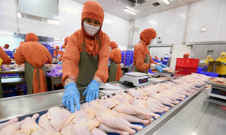 Khoảng 0,2% doanh nghiệp Việt có sản phẩm đạt chứng nhận Halal