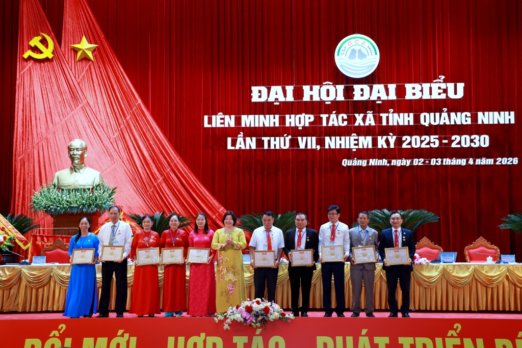 Khu vực KTTT, HTX đóng góp quan trọng vào phát triển kinh tế địa phương.