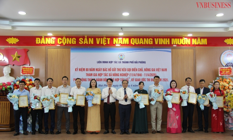 Từ truyền thống 80 năm đến nhịp đập mới: Hải Phòng ‘kích hoạt’ tháng cao điểm vì HTX