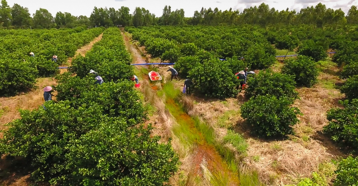 Nghị quyết 85/NQ-CP là kim chỉ nam mở ra vận hội mới cho kinh tế tập thể, HTX.