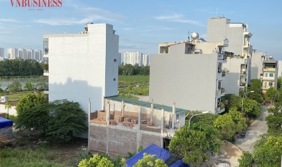 Cá voi rục rịch trở lại săn đất nền vùng ven