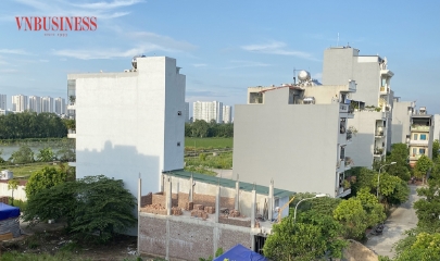 Cá voi rục rịch trở lại săn đất nền vùng ven