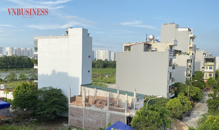 Cá voi rục rịch trở lại săn đất nền vùng ven