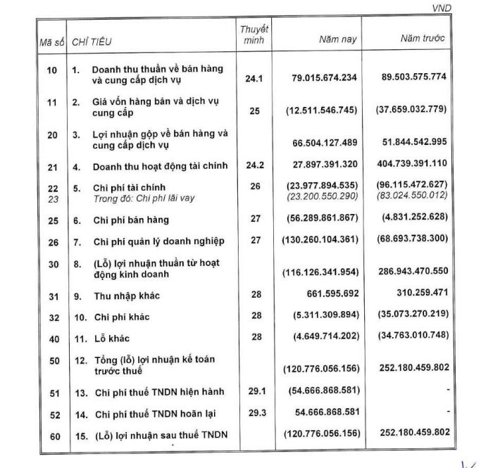 Theo báo cáo tài chính riêng lẻ, Công ty cổ phần Tập đoàn Đất Xanh lỗ gần 121 tỷ đồng.