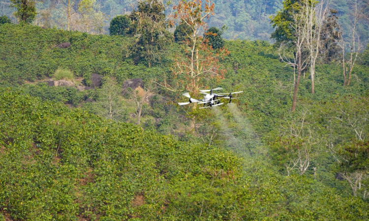 Phun phân bón lá bằng UAV, phép thử rút 3 ngày công xuống 10 phút