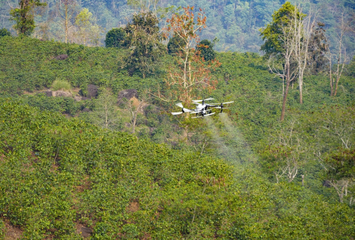 UAV đang thử nghiệm phun thuốc cho cây cà phê.