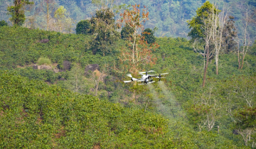 Phun phân bón lá bằng UAV, phép thử rút 3 ngày công xuống 10 phút