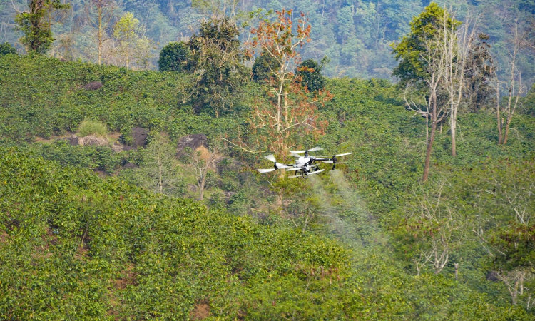 Phun phân bón lá bằng UAV, phép thử rút 3 ngày công xuống 10 phút