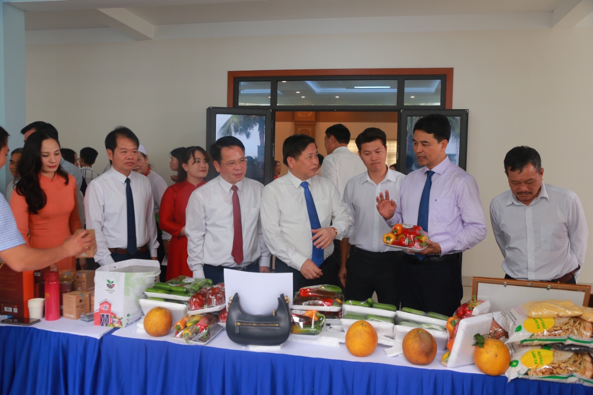 Các đại biểu tham quan gian hàng trưng bày của HTX.