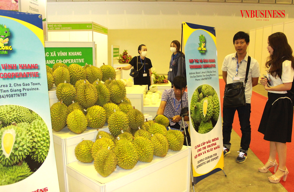 Nhiều HTX sầu riêng đã liên kết chặt chẽ cùng doanh nghiệp và có những đóng góp quan trọng vào thành quả xuất khẩu rau quả trong thời gian qua.