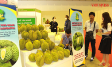 Nhiều HTX sầu riêng đã liên kết chặt chẽ cùng doanh nghiệp và có những đóng góp quan trọng vào thành quả xuất khẩu rau quả trong thời gian qua.