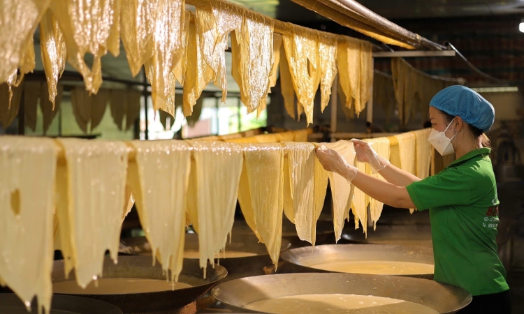 Từ những “mảnh ghép rời” đến sức mạnh chuỗi: Liên kết đưa nông sản vươn xa