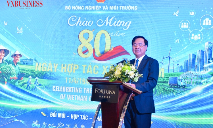 Hợp tác xã “giải bài toán” rủi ro khí hậu trong nông nghiệp