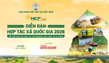 Diễn đàn Hợp tác xã Quốc gia 2026: Kết nối kinh tế hợp tác với hệ sinh thái kinh tế tư nhân
