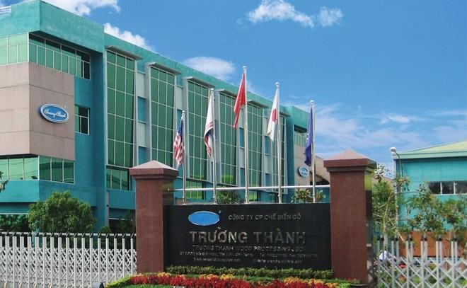 Lỗ lũy kế hơn 3.250 tỷ đồng, Gỗ Trường Thành vẫn đặt mục tiêu có lãi