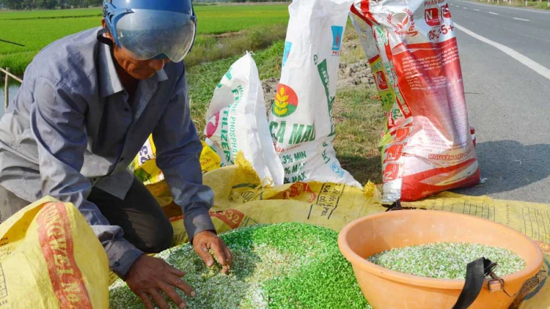 Việt Nam cần xây dựng chiến lược phát triển ngành phân bón gắn với an ninh năng lượng và an ninh lương thực, giảm phụ thuộc vào nhập khẩu.