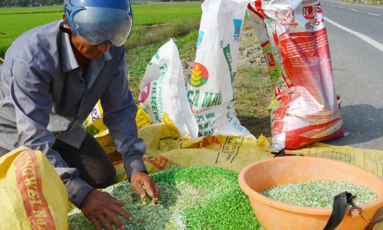 Ngành phân bón tìm cách ứng phó trước