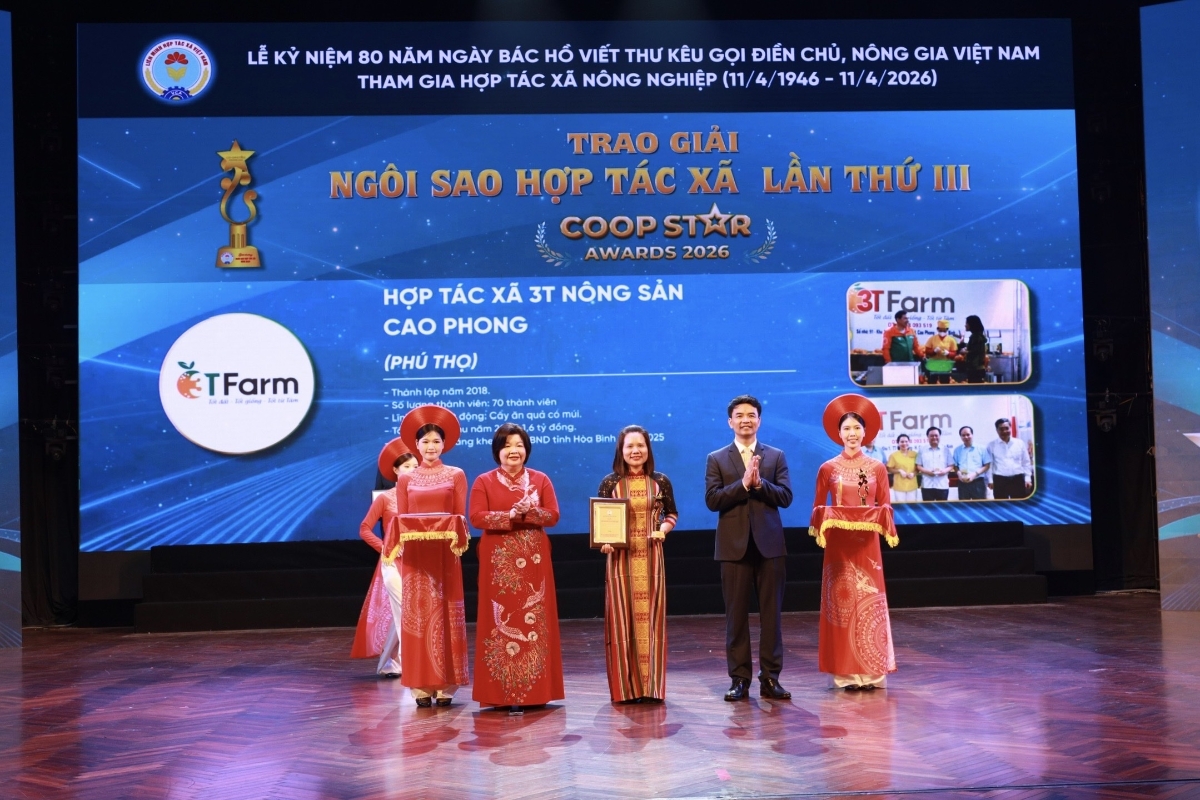 Nếu Giải Ngôi sao HTX đại diện cho năng lực quản trị và hiệu quả hoạt động, thì Giải Mai An Tiêm lại thể hiện tinh thần khởi nghiệp, đổi mới sáng tạo, dám nghĩ, dám làm.