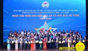 50 Ngôi sao HTX Việt Nam 2026 qua những con số ấn tượng