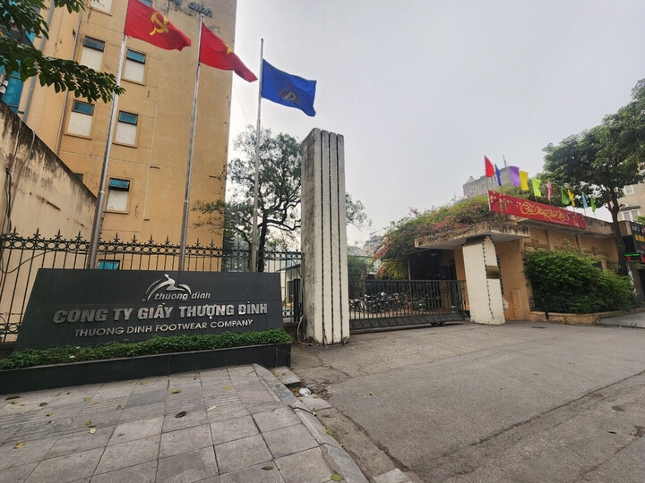 An Quý Hưng Holding trở thành cổ đông lớn của Giày Thượng Đình.