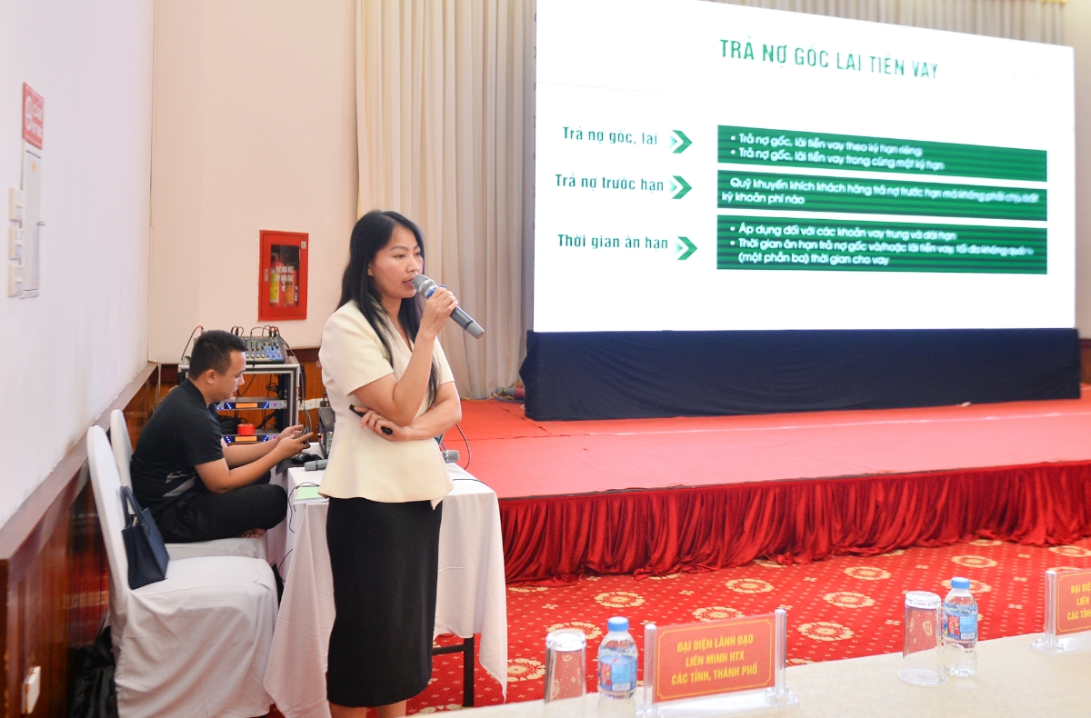 Cán bộ của Quỹ Hỗ trỡ Phát triển HTX đã phổ biến chi tiết cơ chế cho vay và hướng dẫn lập hồ sơ vay vốn cho các HTX.