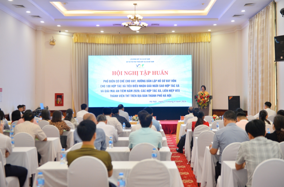 Đây là Hội nghị có ý nghĩa thiết thực, không chỉ giúp các HTX tháo gỡ khó khăn về nguồn vốn, mà còn giúp các HTX nâng cao năng lực nội tại của mình.