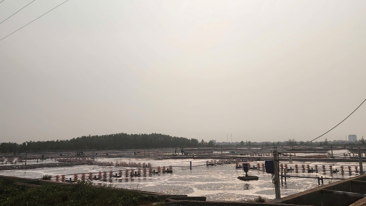 Công ty cổ phần Intimex Việt Nam (Nghệ An) bị xử phạt số tiền 320 triệu đồng do hoạt động khi chưa có giấy phép môi trường theo quy định.