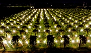 HTX chuyển mình trong thực hiện mục tiêu an ninh năng lượng